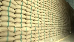 Thái Lan bán 1 triệu tấn gạo cho Trung Quốc